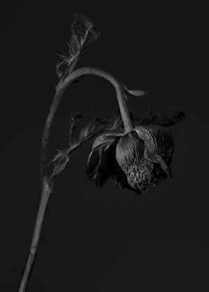 I Love You Mag Studio Johannes Bauer 03
